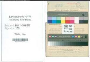 Entnazifizierung Ilse Wahl , geb. 07.05.1911 (Lehrerin)