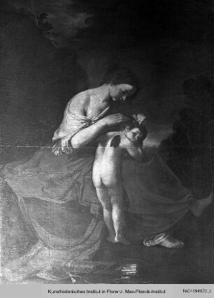 Venus kämmt Amor