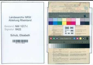 Entnazifizierung Elisabeth Schulz , geb. 06.09.1885 (Lehrerin)