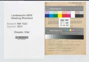 Entnazifizierung Eitel Dressler , geb. 23.02.1906 (Buecherrevisor)