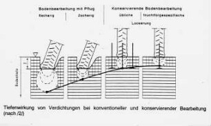 Tiefenwirkung von Verdichtungen bei konventioneller und konservierender Bodenbearbeitung (nach 2/)