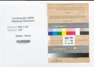 Entnazifizierung Heinz Steller , geb. 02.04.1913 (Kaufmann)