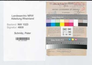 Entnazifizierung Peter Schmitz , geb. 29.10.1888 (Rektor)
