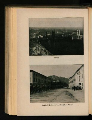 Tafel 5. Vittorio