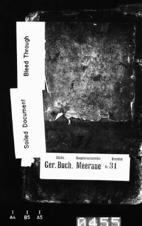 Gerichtshandelsbuch (Forderglauchau Wechselburger und Peniger Anteil), Bd. 1