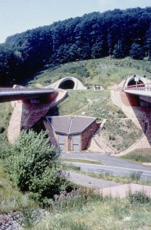 Hörnchenberg, Tunnel