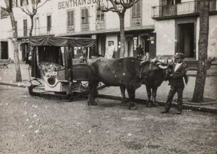 Ochsengespann mit Schlitten (Sammlung Richard Wegner 1869/1931)