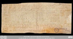 [Halle (Saale), Universitäts- und Landesbibliothek Sachsen-Anhalt, Morbio 3 (114)]