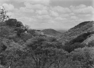 Hügellandschaft : Bewaldete Hügellandschaft in Tansania