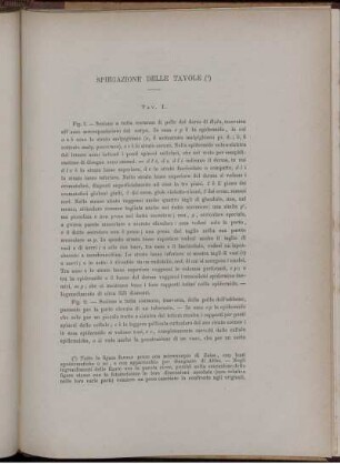 Spiegazione Delle Tavole
