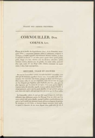 Histoire, Usages Et Culture.