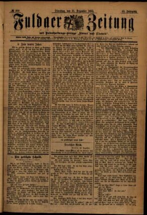 Ausgabe vom Dienstag, den 31. Dezember 1895.