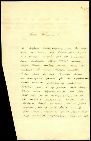 5-10-13-5.0000: Müller, Wolfgang (von Königswinter), Arzt, Chronist; diverse Schreiben ff.: Bewunderung der Arbeit Scheurens