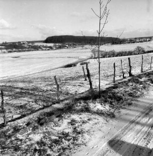 Travetal: vorn rechts Baumstamm: dahinter Wiesen und Trave: hinten links Steinfeld: hinten rechts Steinkamp: Winter