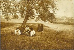 [Picknick unterm Baum]