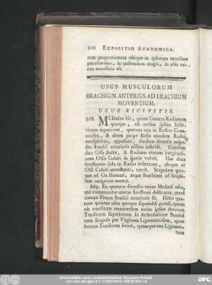 Usus Musculorum Brachium Anterius Ad Brachium Moventium.