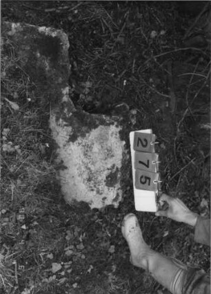 Grabstein 275 (Index: 100115082) Zustand: Fragment Beschreibung: Fragment: Grabstein 275
