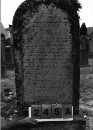 Grabstein 245 (Index: 99797737) Material: Sandstein, weiß Zustand: stark verwittert Maße HxBxT: 148x50x11 cm Beschreibung: Stele, Rundbogenabschluß, getreppter Sockel Symbolik: Rundbogenfries: Grabstein 245A