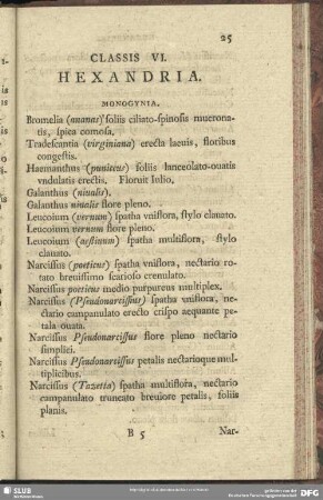 Classis VI. Hexandria