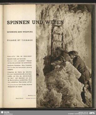 Spinnen und Weben