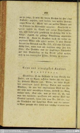 Neun und vierzigstes Kapitel. Srahlsäule