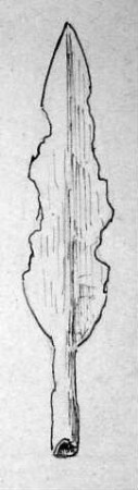 Lanzenspitze