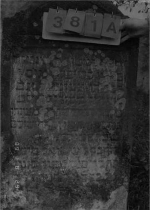 Grabstein 381 (Index: 100107856) Material: grauer Sandstein Zustand: stark verwittert, versalzen und bewachsen Maße HxBxT: 114x64x15 cm Beschreibung: Stele mit eingezogenem Rundbogenabschluß, Schriftfeld rechteckig eingetieft: Grabstein 381A