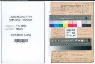 Entnazifizierung Maria Schnetzler , geb. 08.01.1887 (Beamtin)