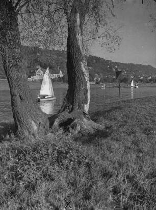 Dresden. Segelboote auf der Elbe zwische Blasewitz und Pillnitz