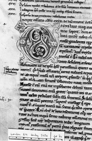Buchseite mit Rankeninitiale D oder O, Folio 7 verso