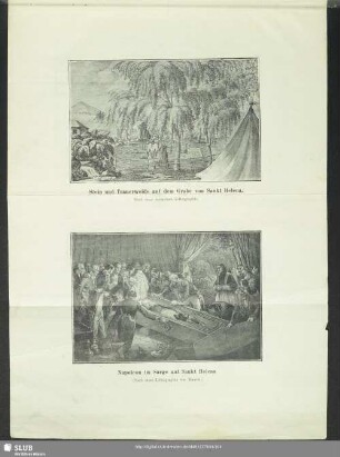 Stein und Trauerweide auf dem Grabe von Sankt Helena. - Napoleon im Sarge auf Sankt Helena