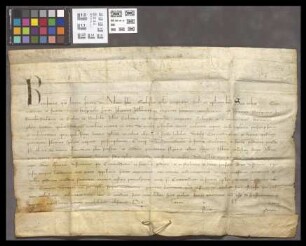 Mainz (Johanniterkommende): Papst Bonifatius VIII. befiehlt der Johanniterkommende, Mainz, von dem Burggrafen Johannes in Rinecke, dem Schultheiß ...