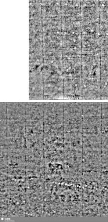 Lilienschild + IESV / LW = Bd.1, S.9/10+121/122