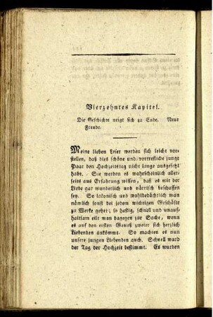 Vierzehntes Kapitel. Die Geschichte neigt sich zu Ende. Neue Freude.
