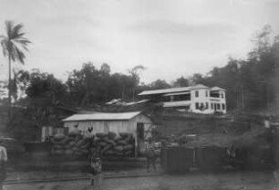 Station der Dr. Esser´schen Cacao-Plantage. 1904