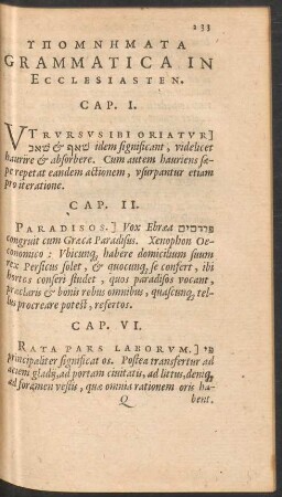 Hypomnēmata Grammatica In Ecclesiasten.