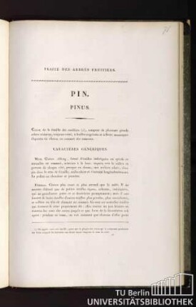 Traité des arbres fruitiers. Pin. Pinus.
