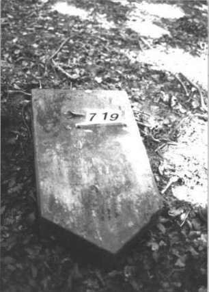 Grabstein 719 (Index: 99900456) Material: Sandstein Zustand: Schriftseite nicht sichtbar, Stele liegt Maße HxBxT: 89x50x20 cm Beschreibung: Stele mit Dreiecksabschluss, umgestürzt, liegt auf Schriftseite Besonderheit: vermutete Identifizierung nach Gräberverzeichnis: Grabstein 719