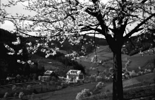 Glotterbad: Sanatorium mit blühendem Baum im Vordergrund