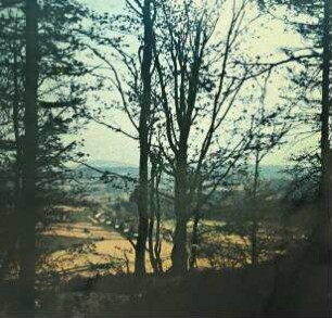 Landschaft