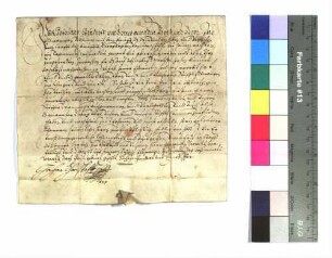Propst Johann Christoph von Westerstetten verleiht Georg Vogt von Kottspiel eine Wiese.