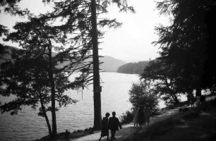 Titisee: Seepromenade