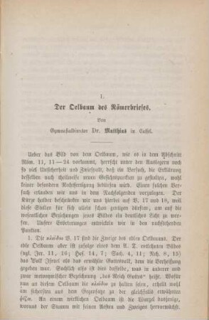 519-532 Der Oelbaum des Römerbriefes