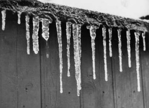 Winter. Eiszapfen