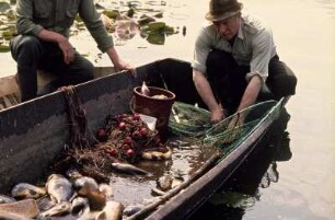 Fischfang