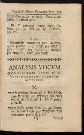 Analysis Vocum Quarundam Usum Praeceptorum Grammaticorum Ostendens