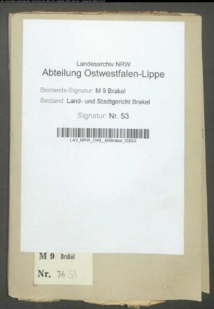 Stadt Brakel: Bd. 1