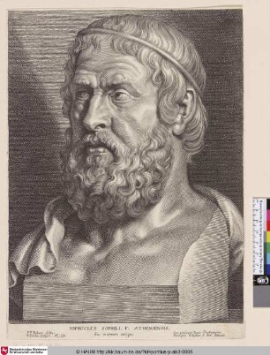 [Sophocles Sophili. F. Atheniensis]
