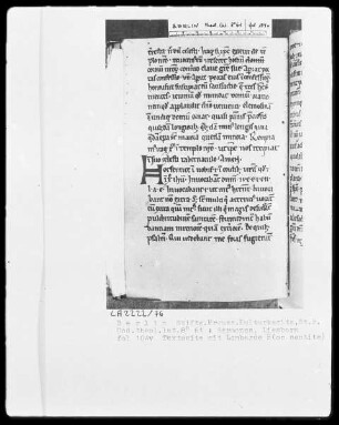 Sermones diversi — ---, Folio 104versoBuchseite