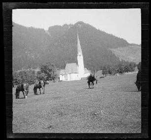 Gegend von Schliersee (Lkr. Miesbach): Pferde auf einer Pferdeweide, im Hintergrund eine Kirche